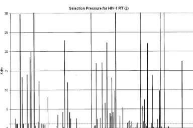 FIG. 4. Positive selection mapping of HIV-1 RT from 40,000 patient samples. The K/K value represents the greatest selection pressure amongall the individual amino acid mutations at each codon