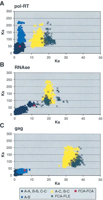 FIG. 4. Synonymous and nonsynonymous distances between pairs of FIV sequences. Each point represents one pairwise comparison