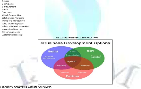 FIG 1.2: EBUSINESS DEVELOPMENT OPTIONS 