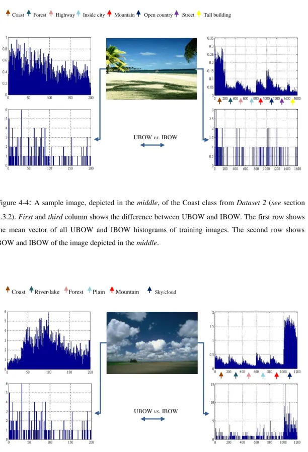 Figure  ‎4-4 :  A sample image,  depicted in the  middle, of the Coast class  from  Dataset 2 (see section  4.3.2)