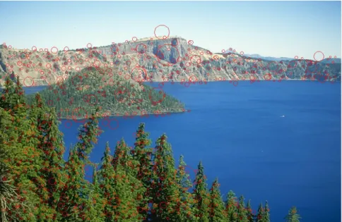 Figure  ‎4-6:  (a)  Sample  image  with  circles  around  interest  points.  (b)  Sky  and  water  contain  little  information of interest