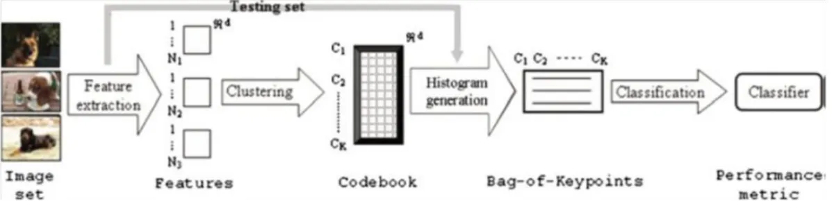Figure  ‎2-2:  General  framework  for  building  BOW  image  representation  (Ramanan  and  Niranjan,  2011) 