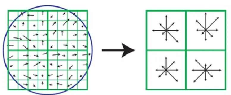 Figure  ‎3-5 :  Illustration  of  SIFT  feature  detector,  which  consist  of  histograms  of  oriented  gradients  (Lowe, 2004).