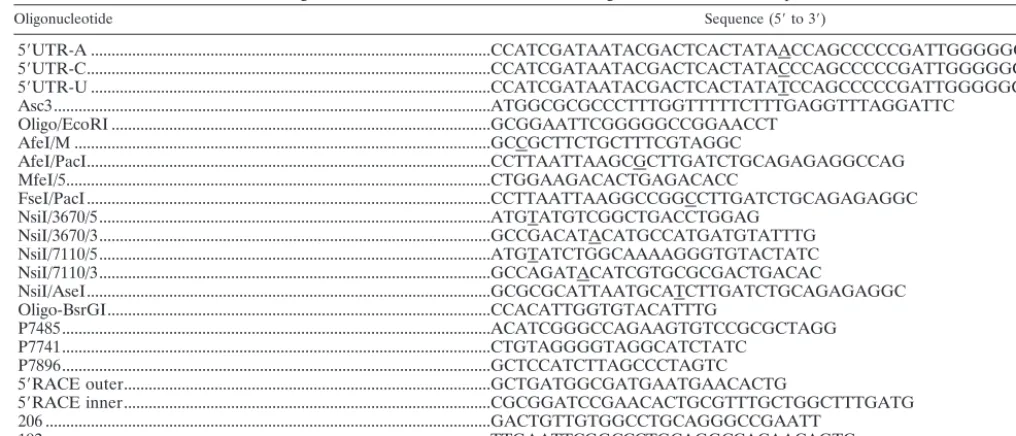 TABLE 1. Oligonucleotides used for PCR-directed mutagenesis and RT-PCR ampliﬁcationa