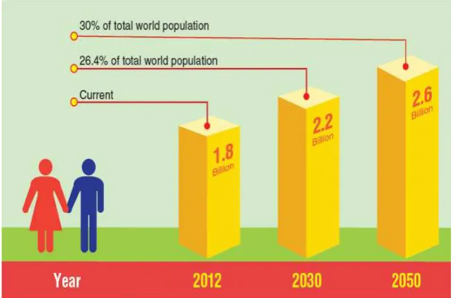 Figure 1: The World Muslim Population 