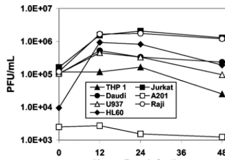 TABLE 1. Expression of DAF, CAR, ICAM-1, and EV70 proteinsin leukocyte cell lines