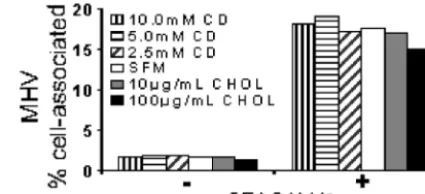 FIG. 1. Quantiﬁcation of virus titer on cells pretreated with M�or cholesterol-Mwere incubated in SFM with the indicated doses of Mor cholesterol-M30 min at 37°C