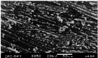 Figure 17. SEM microphotograph of 1.0 mg Kevlar reinforced samples [33]  