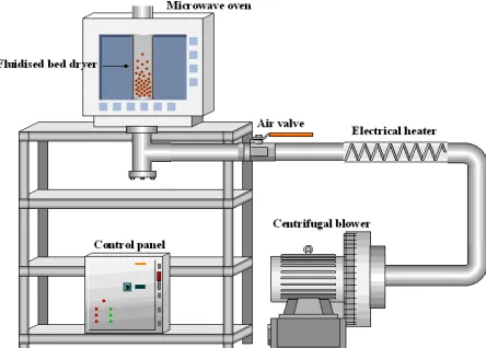 Figure 1. A schematic representation of the tunnel dryer  