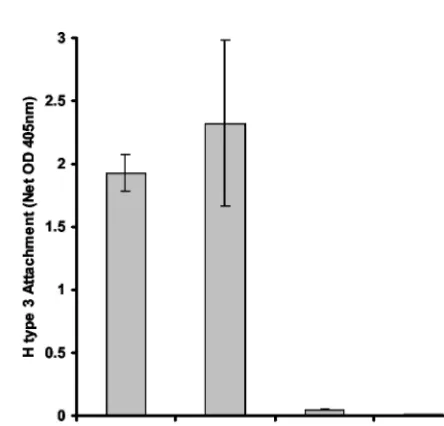 FIG. 7. Effect of stool components on NV and HV VLP attach-ment to histo-blood group antigens