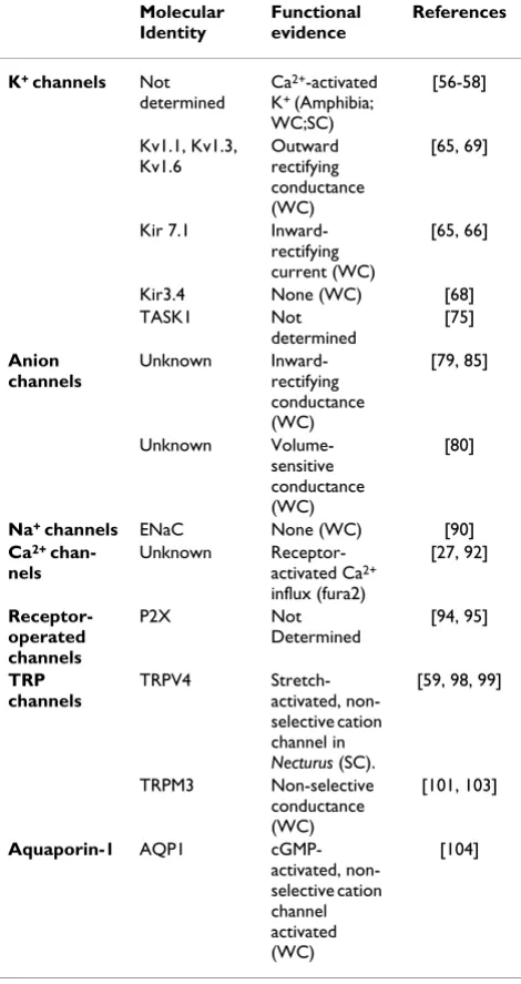 Table 1: Ion channel expression in choroid plexus epithelial cells.
