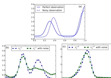 Figure 5. (a) Top: Ingredients of the second experiment: true initial condition(b) Ingredients of the second experiment: true initial conditionFigure 5