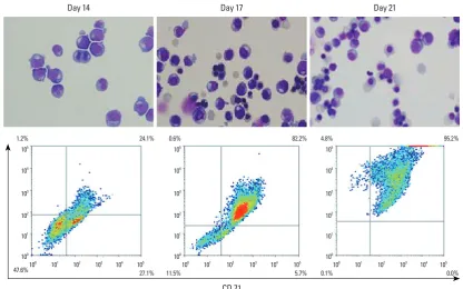 Fig. 2. The morphology of cells and flowcytometer analyses of the differentiated RBCs from cord blood derived CD34+ cells in vitro cul-ture
