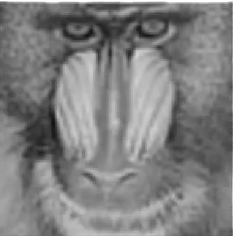 Figure 5.  Image enhancement by our proposed method without the problem of blurring effects as exists in Figure 4(b)