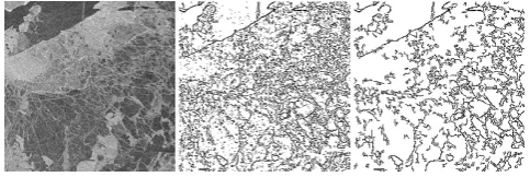 Fig. 7.Fig. 7. An example of the SAR edge detection. A small part of a SAR image (left), edges detected bythe Canny algorithm (middle), and edges after removal of small edge segments