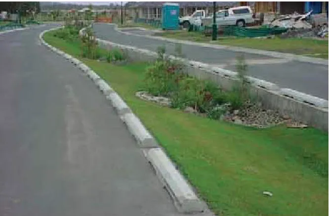 Figure 1.5 Photograph of a bioretention swale in Melbourne 