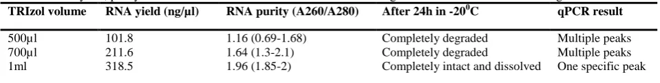 Figure 1.  DNA contamination in extracted RNA due to insufficient volume of TRIzol. All samples are extracted from 1×107 cells, but using different volume of TRIzol (a): 500 µl (b): 700 µl and (c): 1ml
