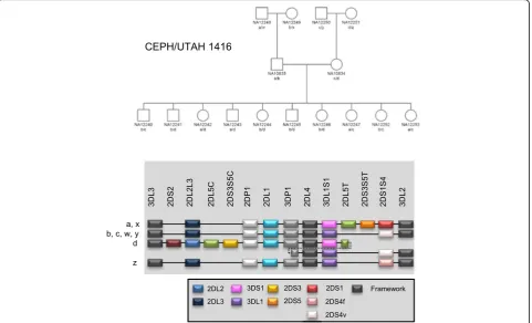 Fig. 3 KIRUCLA82 have a deletion from haplotypes for UCLA KIR Exchange panel DNA samples predicted by gene copy number