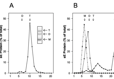 FIG. 2. Sedimentation analysis of sE trimers in the presence (A) and absence (B) of detergent