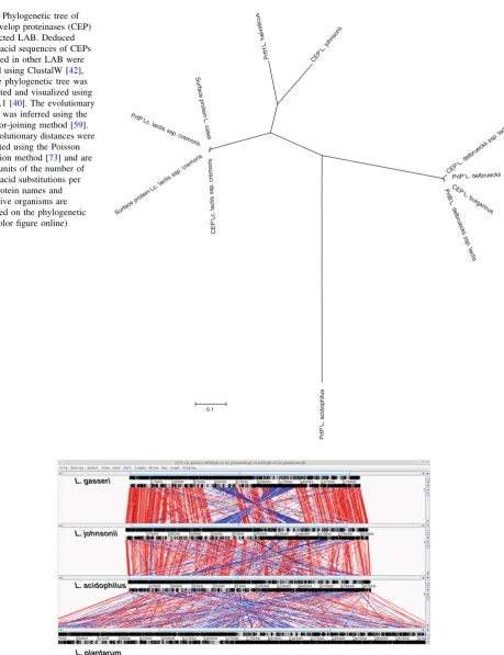 Fig. 4 Phylogenetic tree ofThe evolutionary distances werecomputed using the Poissoncorrection method [in the units of the number ofamino acid substitutions persite