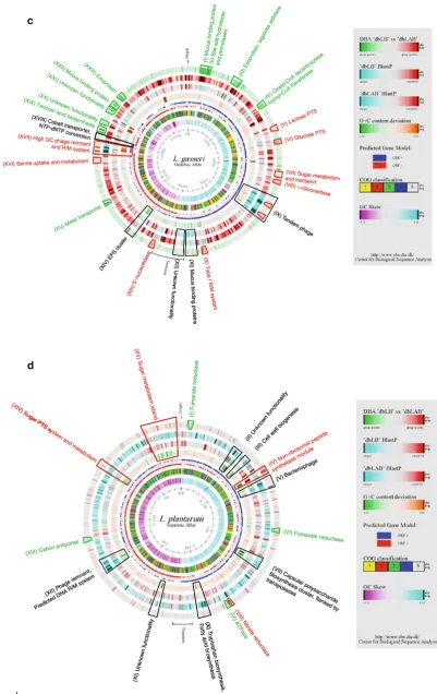 Fig. 1 continued