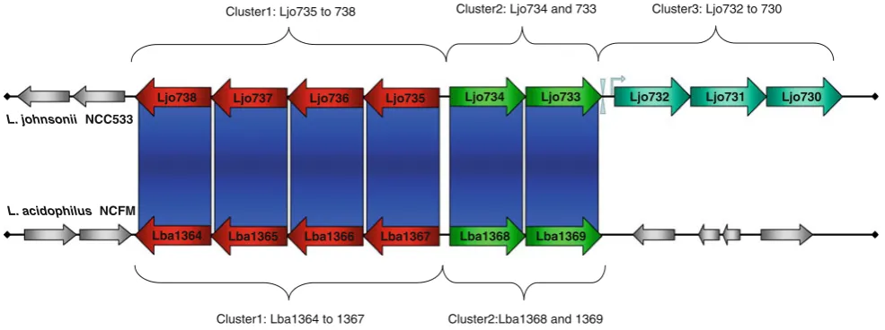 Fig. 2 Schematic representation of a pACT analysis of two homol-(cluster 1),black horizontal linesnumbers are indicated within theL