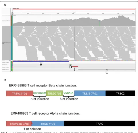 Fig. 4 TCR V(D)J sequence usage in Sample ERR488963.underneath the reads denote the TCR beta V gene (TRBV14*01 in a IGV plot of read coverage for entire assembled TCR beta chain sequence