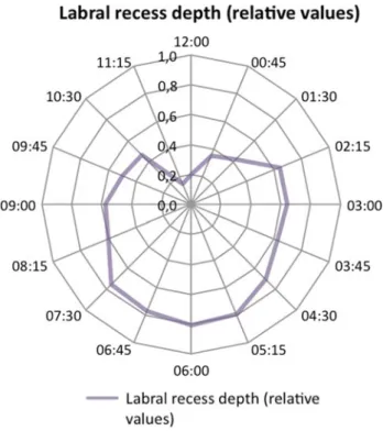 Fig. 5 This diagram shows the depth of the perilabral recess relative to the adjacent labrum.