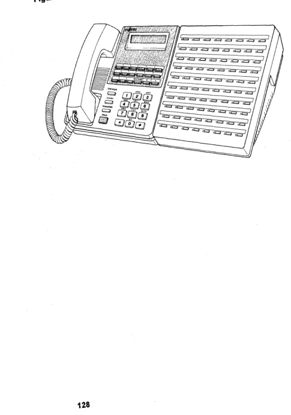 Figure  6.  80~Hutton  DSS 