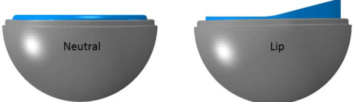 Figure 2.7:  Neutral and Lipped hip acetabular implant constructs 