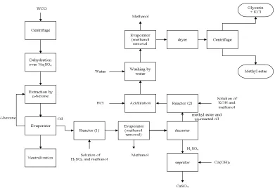 Figure 1. Schematic process flow diagram for the two-step biodiesel production from WCO 