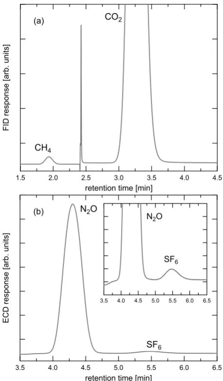 Fig. 2. Examples of gas chromatograms of the working standardFID the gas ﬂow is directed over a methanizer after the CHpassed