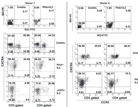 TABLE 1. Distribution of cells expressing both CCR5 andCXCR4 in resting and activated PBMCsa
