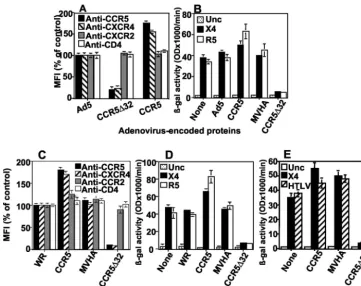 FIG. 6. Heterodimerization of CCR5�or Ad5CCR5 plus Ad5/experiment. The results shown represent one of three independent experiments