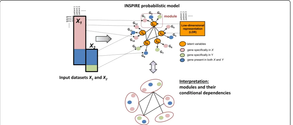 Fig. 1 Overview of the INSPIRE framework. INSPIRE takes as input multiple expression datasets that potentially contain different sets of genes andlearns a network of expression modules (i.e