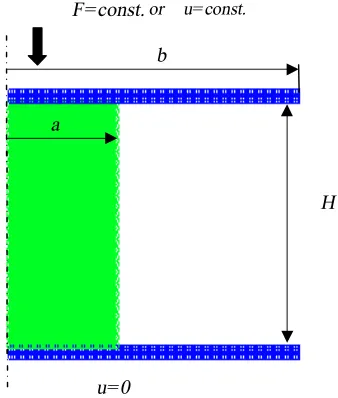 Figure 1.  Geometry and boundary condition of the sample 