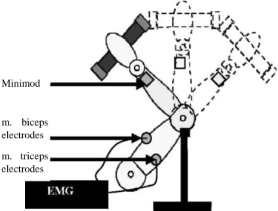 Figure 2:  Schematic reproduction of the apparatus  design.