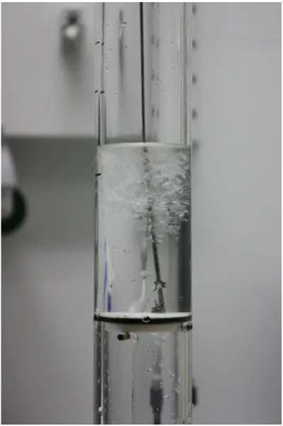 Fig. 2. Photo of the sampling device with the circular plate in hori-zontal position keeping the sampled grease ice trapped in the pipe.