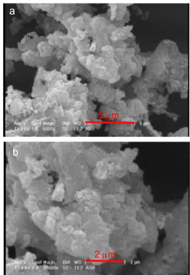 Figure 1. SEM photomicrographs of two different size fractions of DLA: a) 5000× b) 10000×
