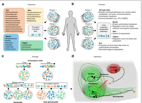 Fig. 1 Possible definitions of a healthy microbiome: composition, function, dynamics, and ecology