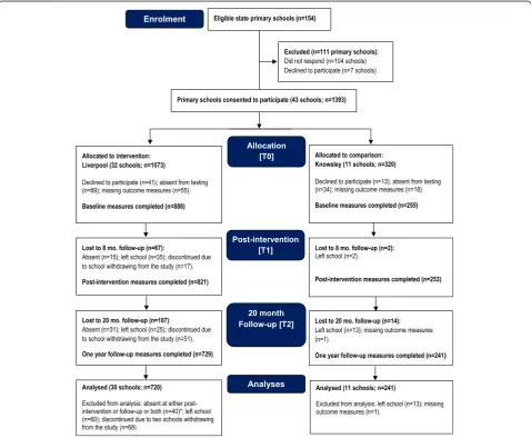 Fig. 2 Flow of schools and participants through the study. *Six children were absent at both post-intervention and follow-up