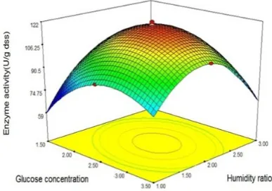 Figure 3. The effect of olive oil concentration and humidity ratio on lipase activity (other variable was set at zero level), showing the effect of olive oil concentration and humidity ratio and their interaction effects on lipase production