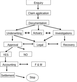 Figure 2: Insurance Claim Process   