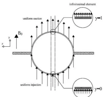 Figure 1. Schematic of the model
