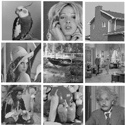 Figure 2. Nine standard images used in the training stage of the proposed method, size of each image is 256×256.