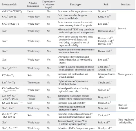 Table 1. Phenotypes of Telomerase Mouse Models