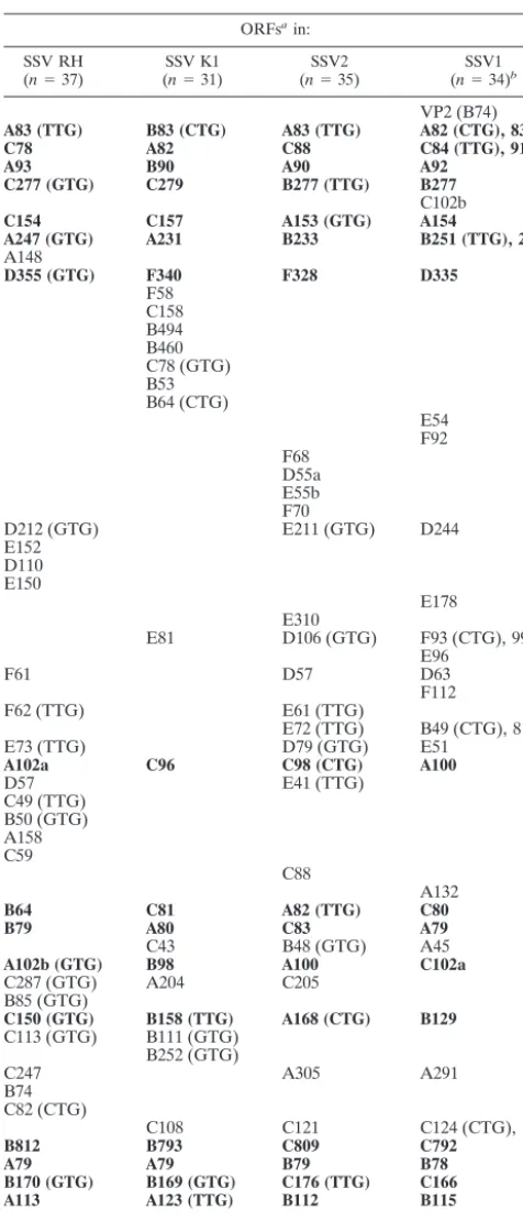 TABLE 1. Identiﬁed ORFs in SSV isolates