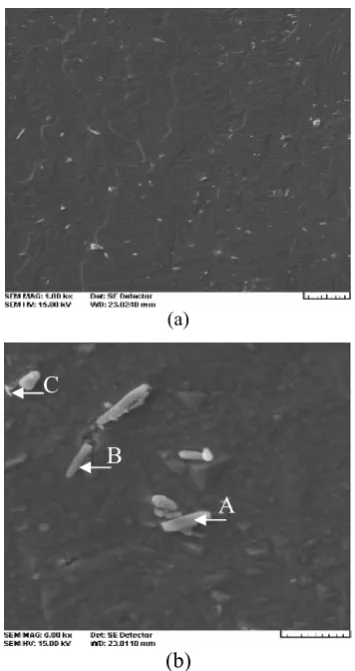 Fig. 4a was Ti–49.79 at. % Ni for the matrix and 