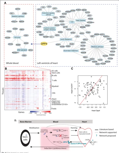 Fig. 6 (See legend on next page.)