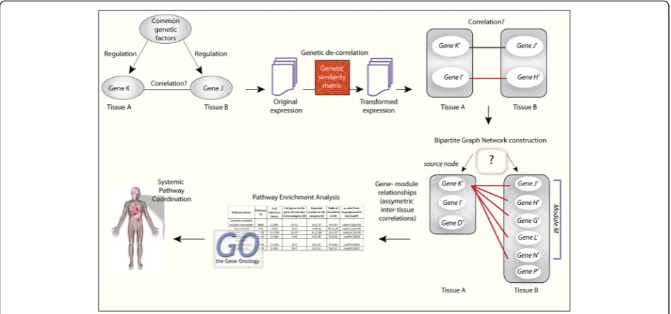 Fig. 2 Schema depicting the novel strategy for generating genetically decorrelated inter-tissue networks and deriving modules of geneslinks betweenimportant in inter-tissue interactions that are driven by biological signal exchanges instead of their common